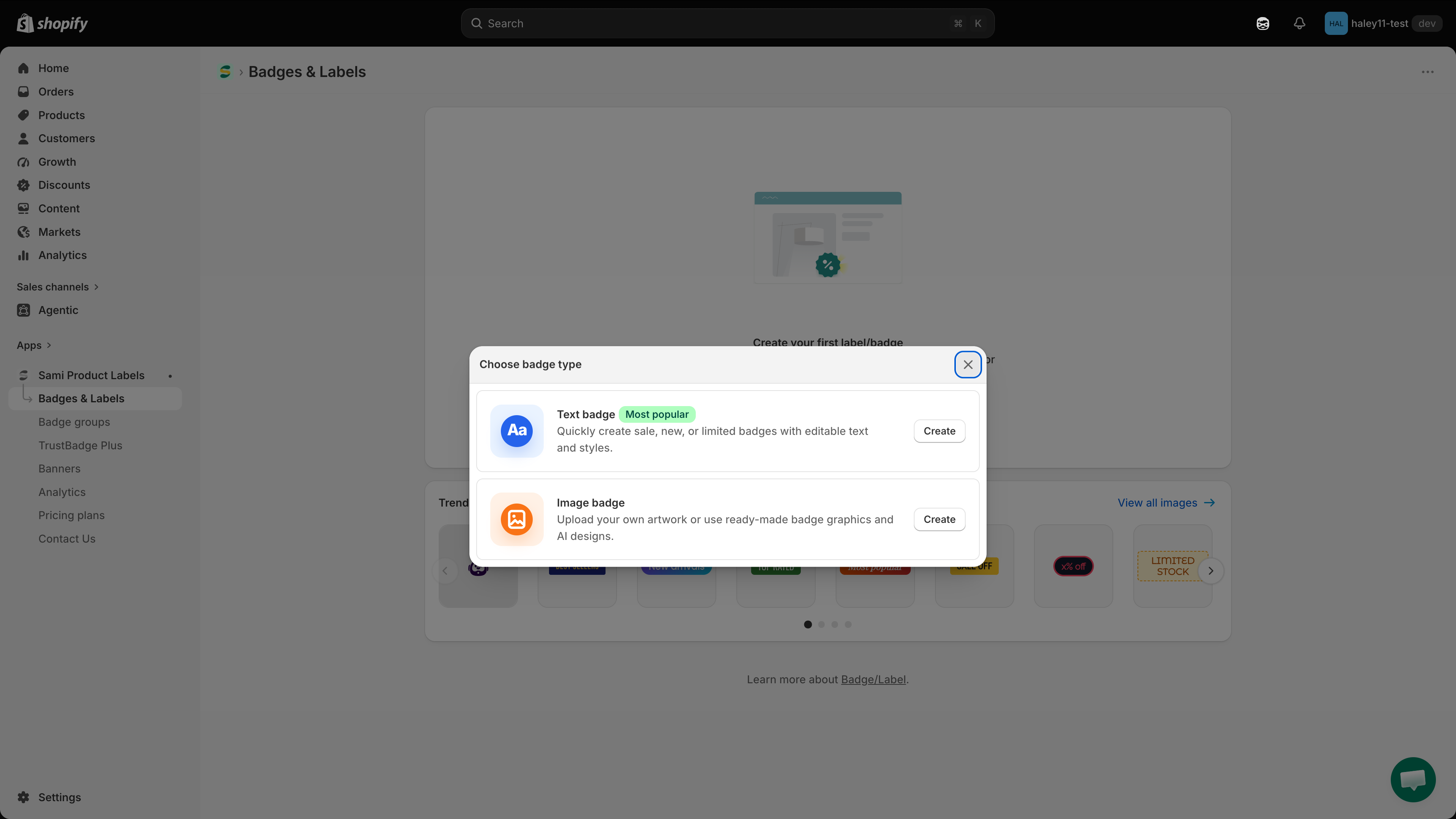 Choose badge type dialog with Text badge and Image badge options