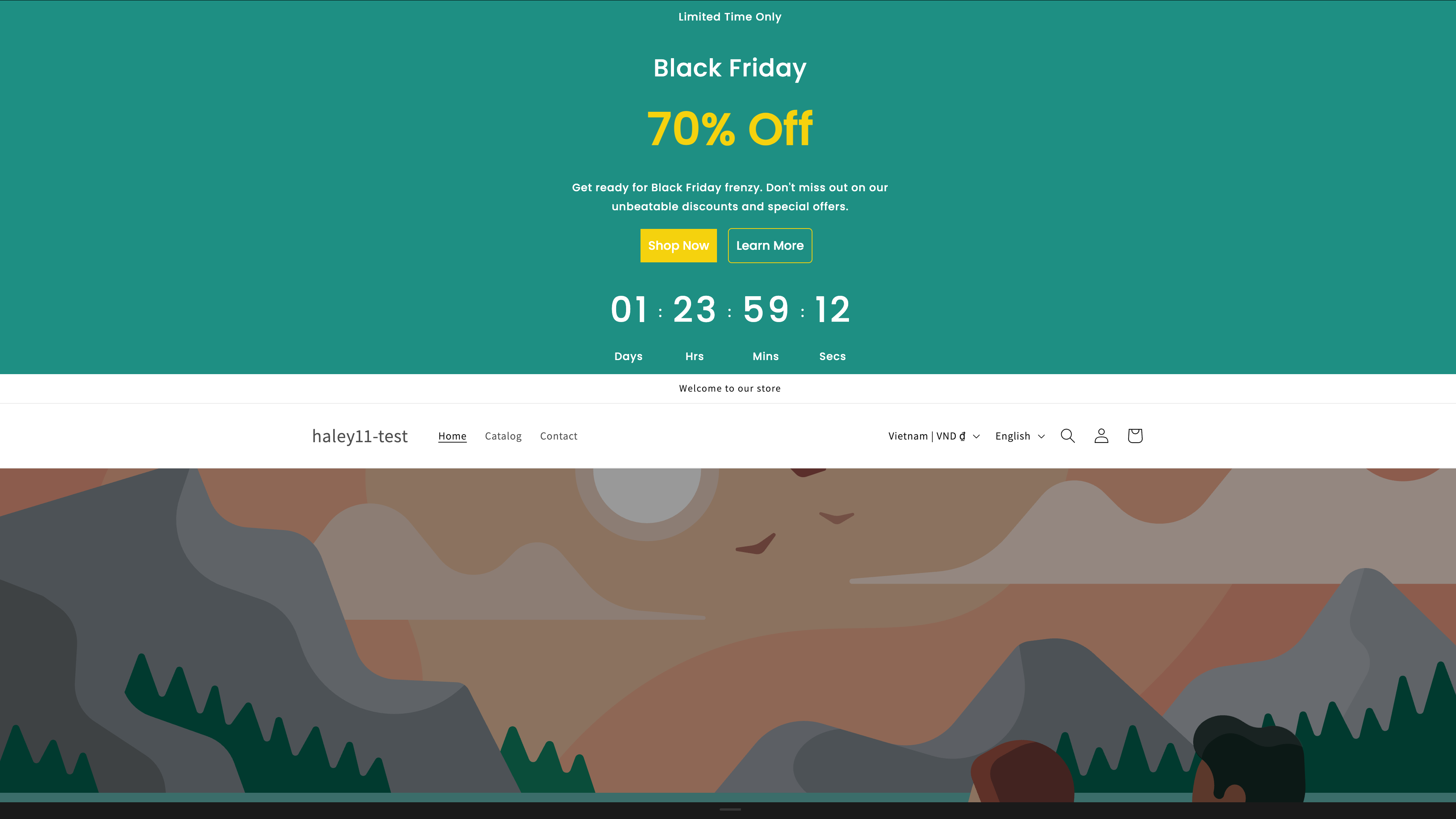 A basic banner displayed at the top of a Shopify store
